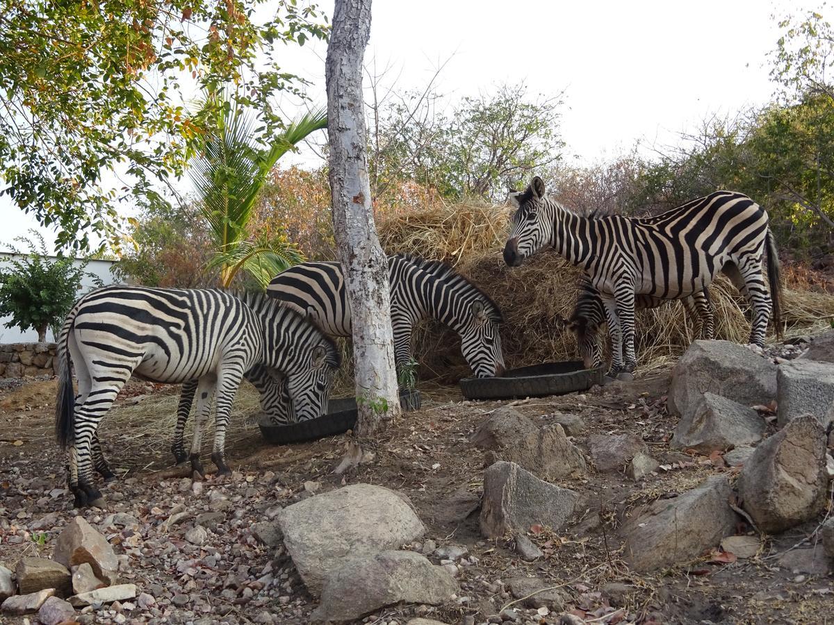 Lake Kariba Inns Siavonga Exteriér fotografie